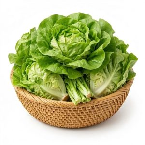 Selada